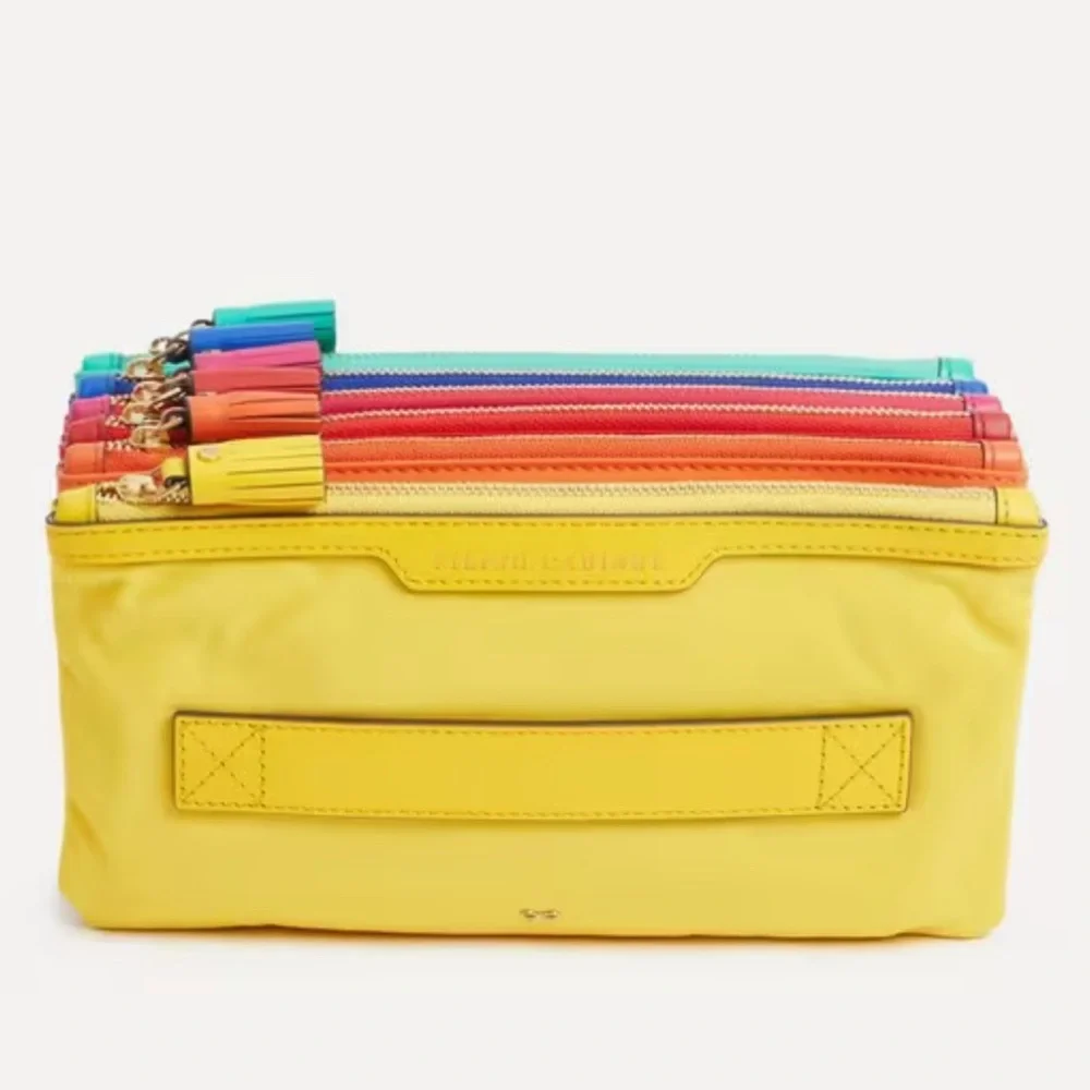 Anya Hindmarch rainbow The Filing Cabinet pouch clutch - Picture 1 of 7